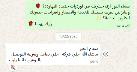 دينا أحلى شركة